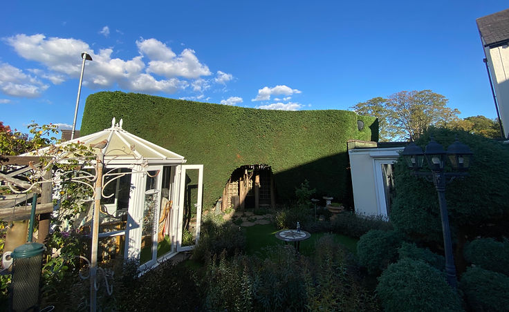 Large green hedge bordering a garden with a white gazebo