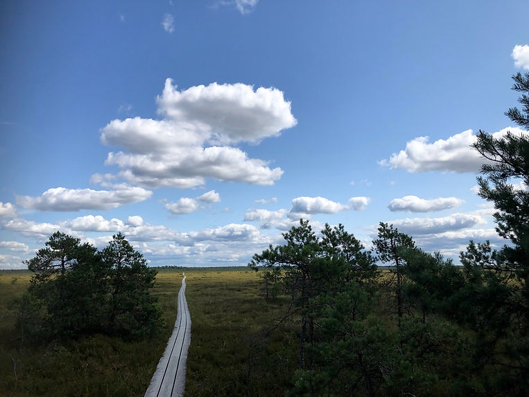 Menschen begleiten, damit die sozial-ökologische Transformation geleingen kann.