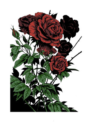 RoseSpider_ColourAlternate