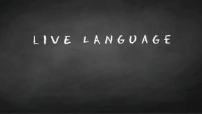 The word of the Day - La palabra del Día