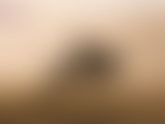 ¿Cómo puede elegir el mejor seguro para mi automóvil?