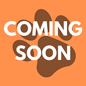 COMING SOON.png