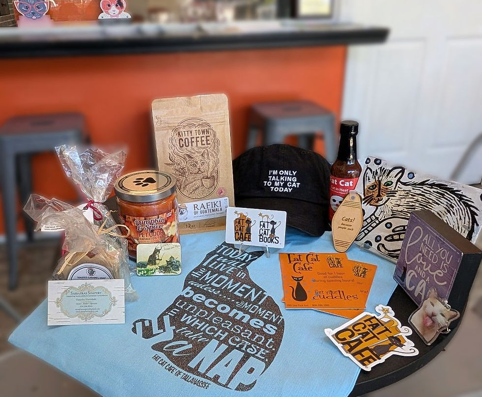 8th Anniversary Fat Cat Swag Bag Raffle Extended