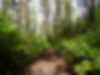 Metsäpolku
