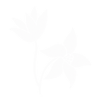 ChatGPT Image 23 sep 2026, 19_45_51.png