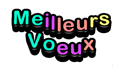 meilleurs-voeux-3-4741z.gif