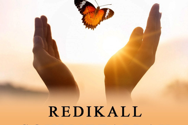 Redikall Soul metaplay.jpeg