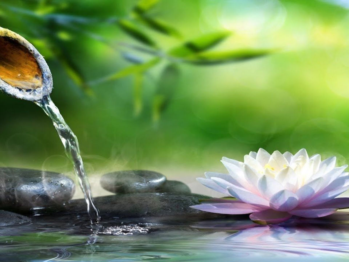Embark on a Soul-Nurturing Journey: Body Detox Meditation