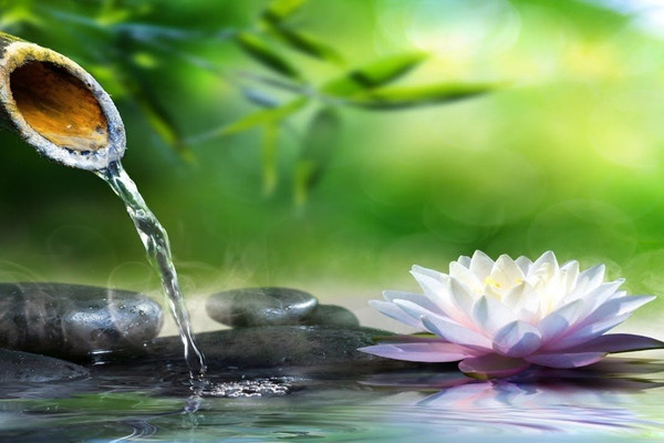 Embark on a Soul-Nurturing Journey: Body Detox Meditation
