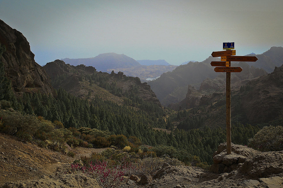 ALR-IMG_6035 reduced_edited_edited_edited.jpg