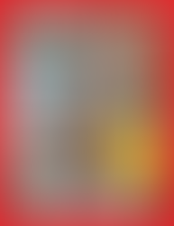 実際に選ぶところ