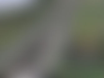 Fight Training - Stairs for Fight Round Conditioning Part 2 of 2