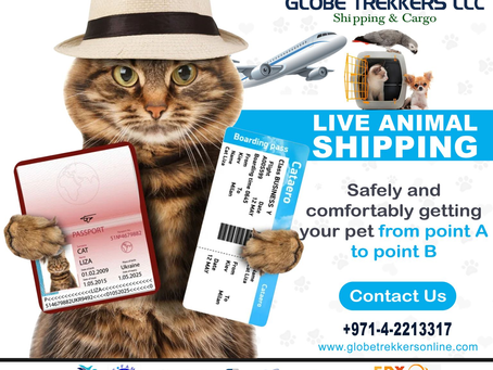 Take better care of your pet