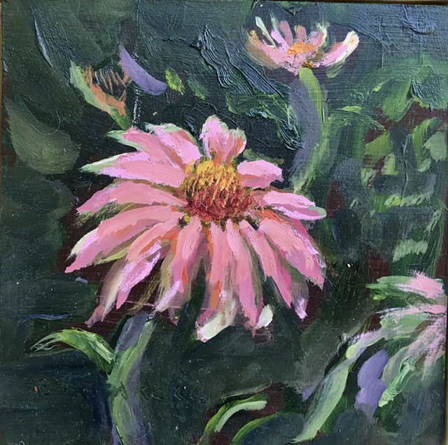 Cone Flowers