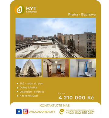 BYT k prodeji-2.png