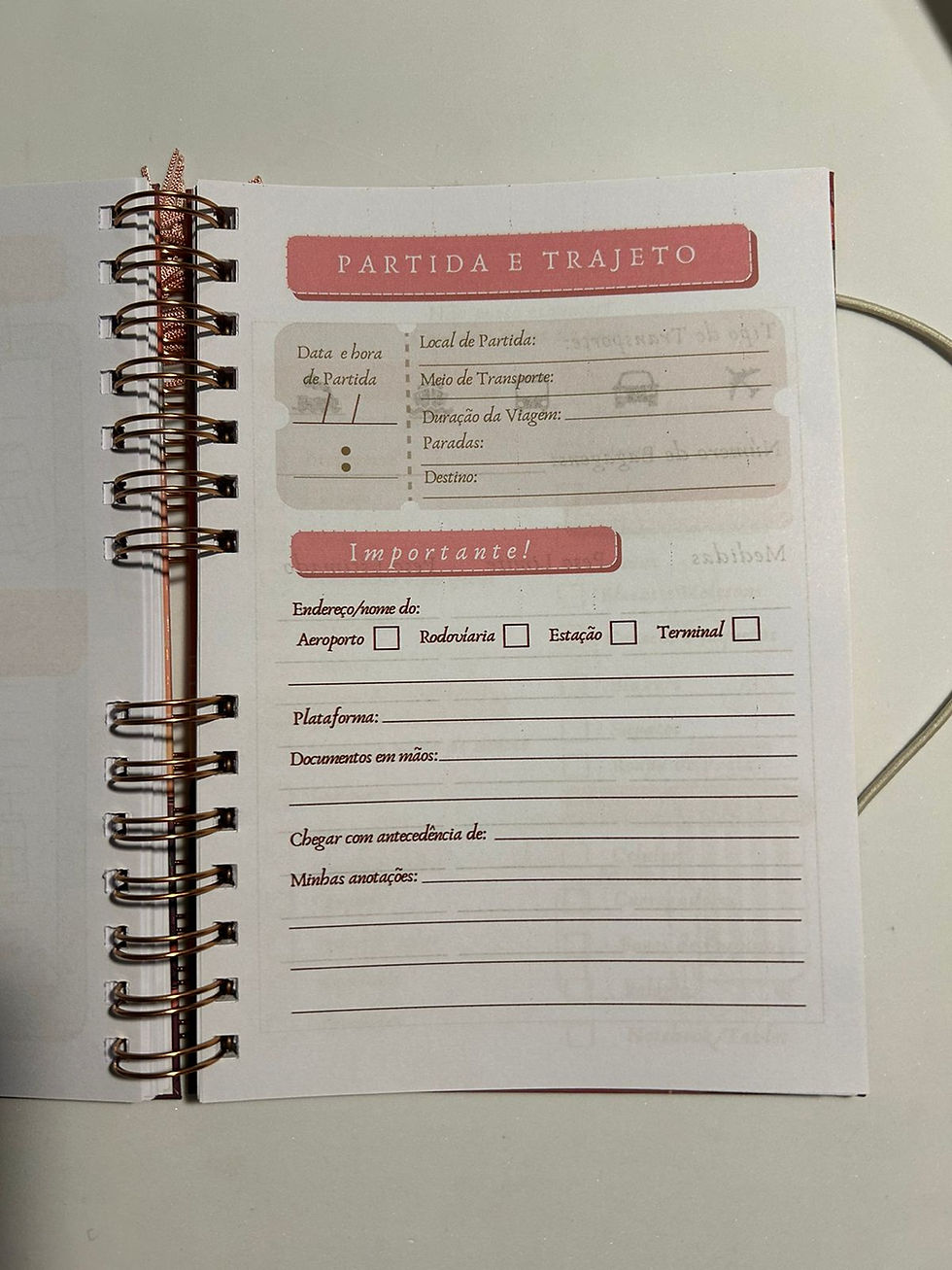 Miniatura: Diário de Viagens