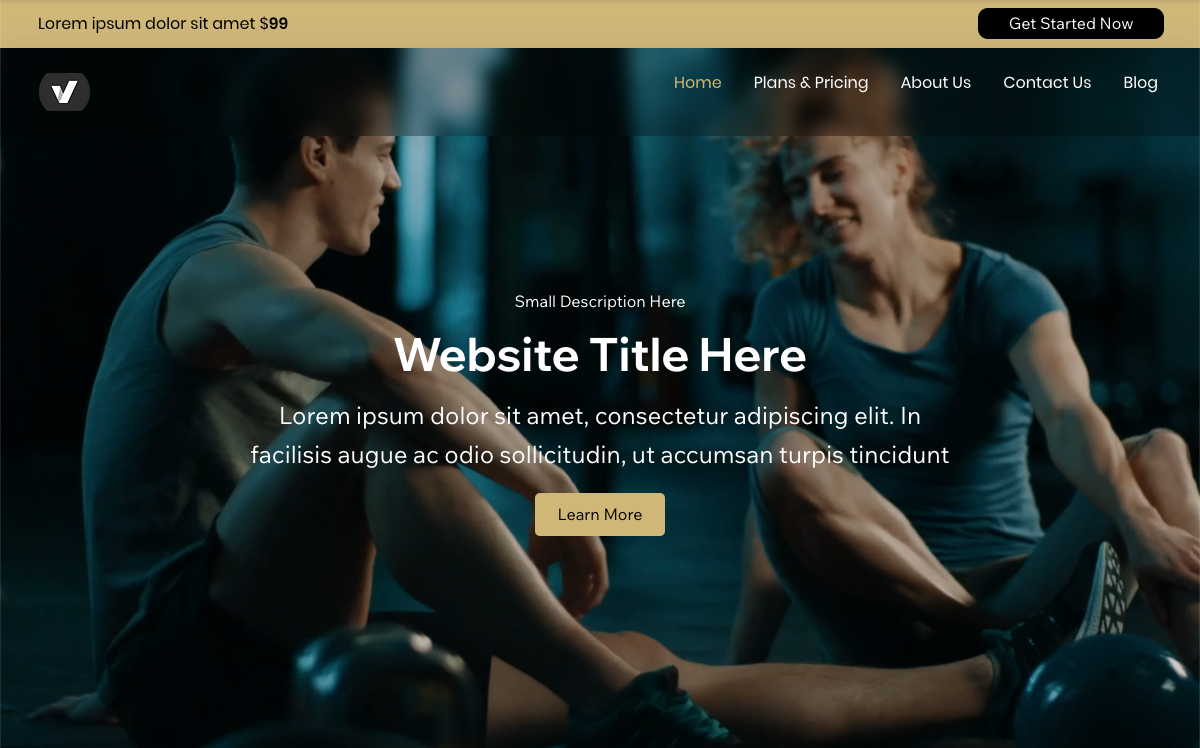 Home page hero