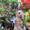 Thumbnail: Sitting hare