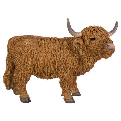 Thumbnail: Highland cattle