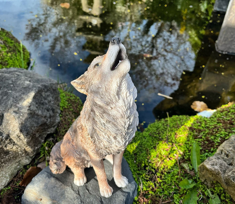 Thumbnail: Howling Wolf