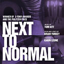 normal 2.jpg
