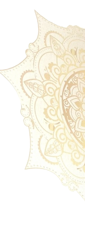 S__24895553_0_edited_edited_edited.png