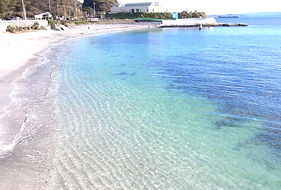 S__24895605_0_edited.jpg