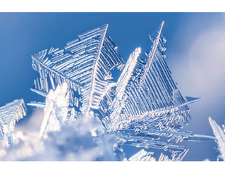 January 2026 Newsletter