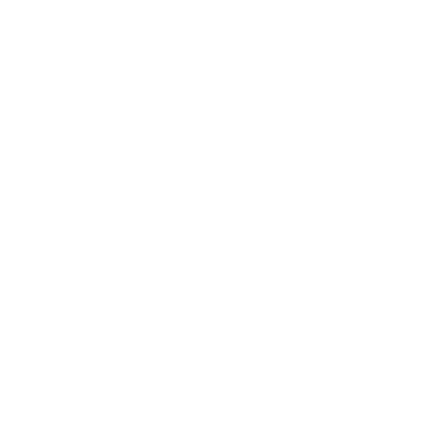 Bingarra Website Icons  (3).png