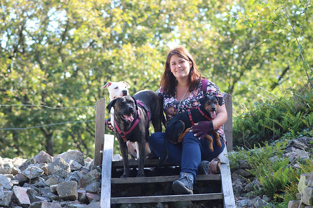 Alice au Pays Canin éducateur comportementaliste canin Calvados