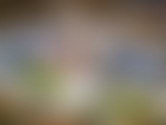 City Council Approves Plan for Lansdowne 2.0