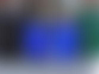 Council Passes Councillor Kelly's Motion For New Six Month Exemption On Garbage Bin Size Enforcement