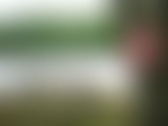 Councillor Kelly's Letter to Province on Partial Fire Ban at Fitzroy Provincial Park