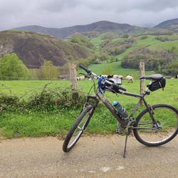 vCamino De Santiago - Classic - Tour 2025
