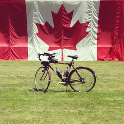 "from the Roots in the Right Direction"