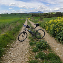 Camino De Santiago - Classic - Tour 2025