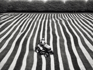 Transform Your Yard with Professional Lawn Care Services