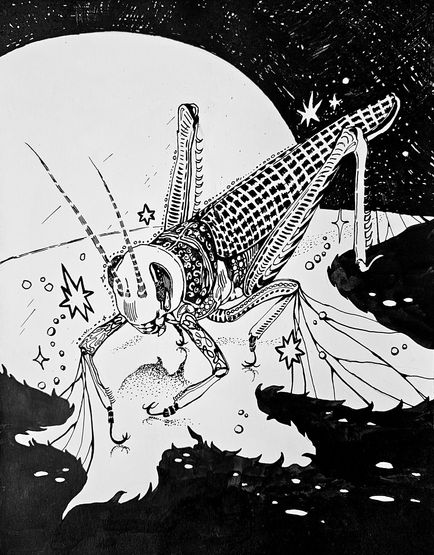 Grasshoping on Moon