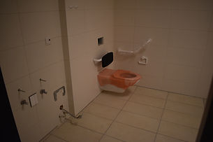 DSC_0046 (2).JPG