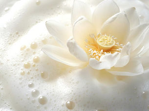 macro shot d'une fleur de lotus flottant sur une mousse fine, image cosmetique sensorielle et premium
