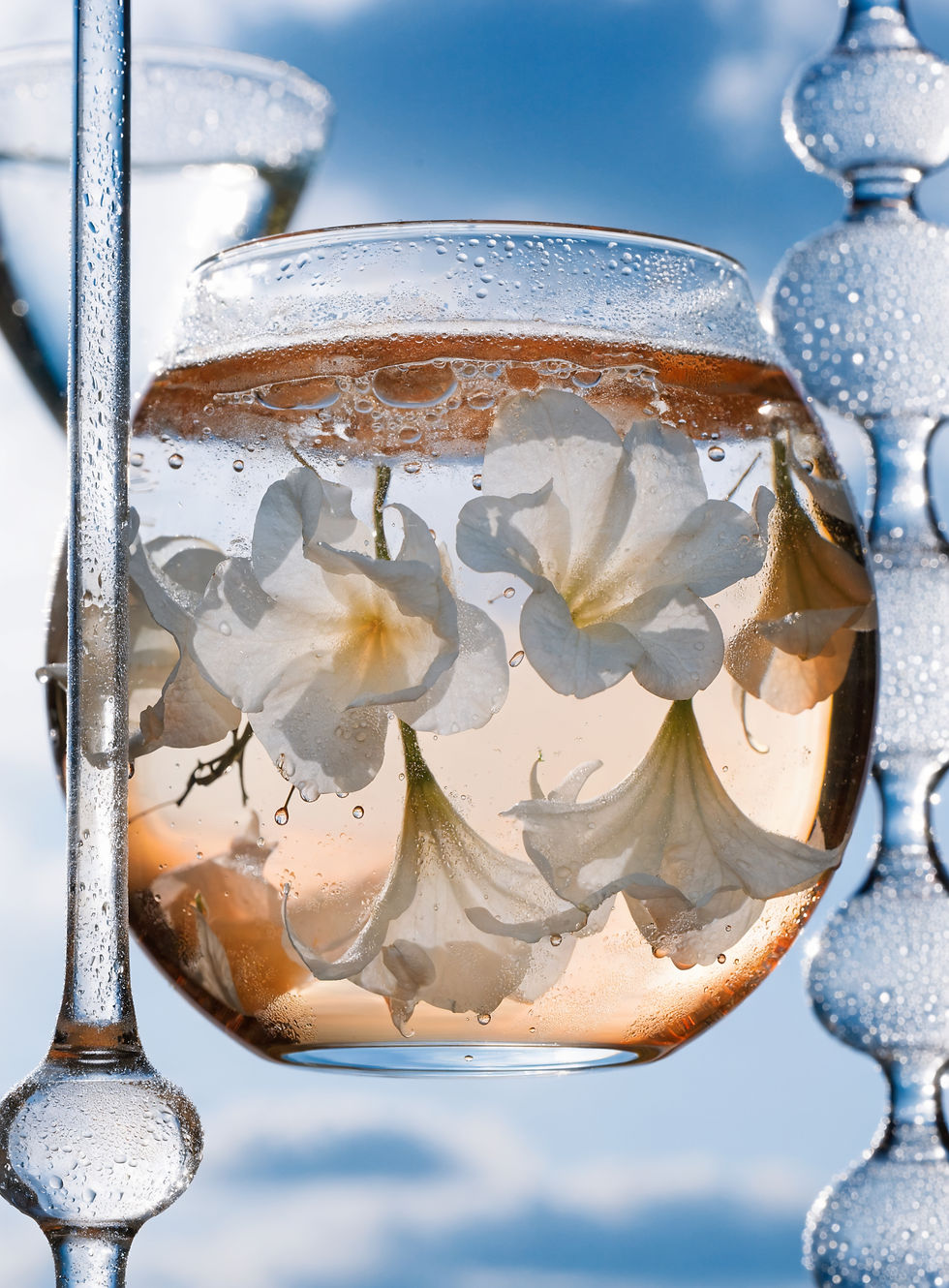 close up de fleur laboratoire parfum