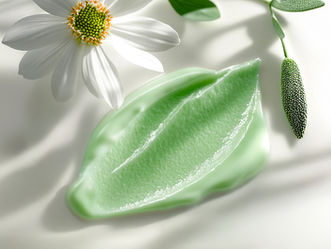 La cohérence sensorielle : quand le visuel donne vie votre positionnement de marque