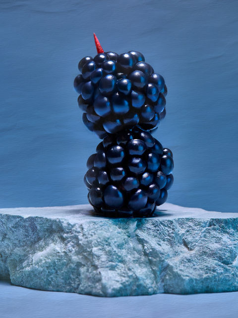 Mûres bleues sur un socle rocheux, Photographie avec un fond bleu, Anne-Clotilde Obéniche (IA)