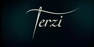 TERZİ