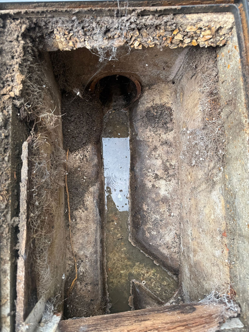 Why Does My Kitchen Sink Back Up When the Washing Machine Drains?