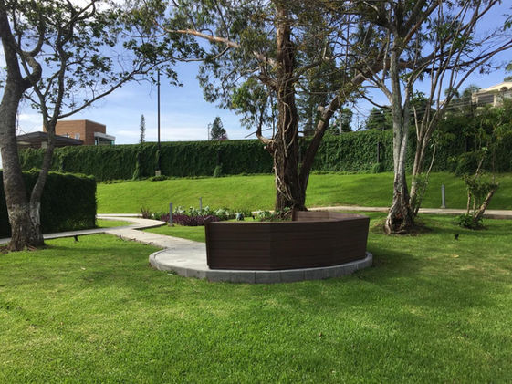 WhatsApp Image 2019-05-30 at 08.22.09 (1).jpg