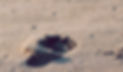 christopher-sardegna-iRyGmA_no2Q-unsplas