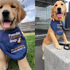Alana’s Dream: Giving Back, One Paw at a Time