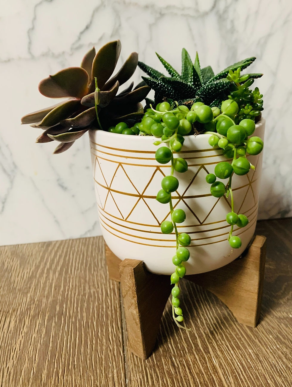 Thumbnail: Modern Succulent Pot