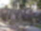 Graves in a graveyard